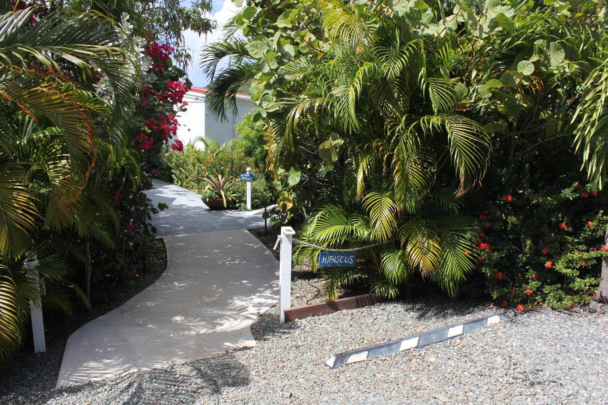 Fantastic Penthouse At Sunset Serenade Suites Cruz Bay Exterior foto